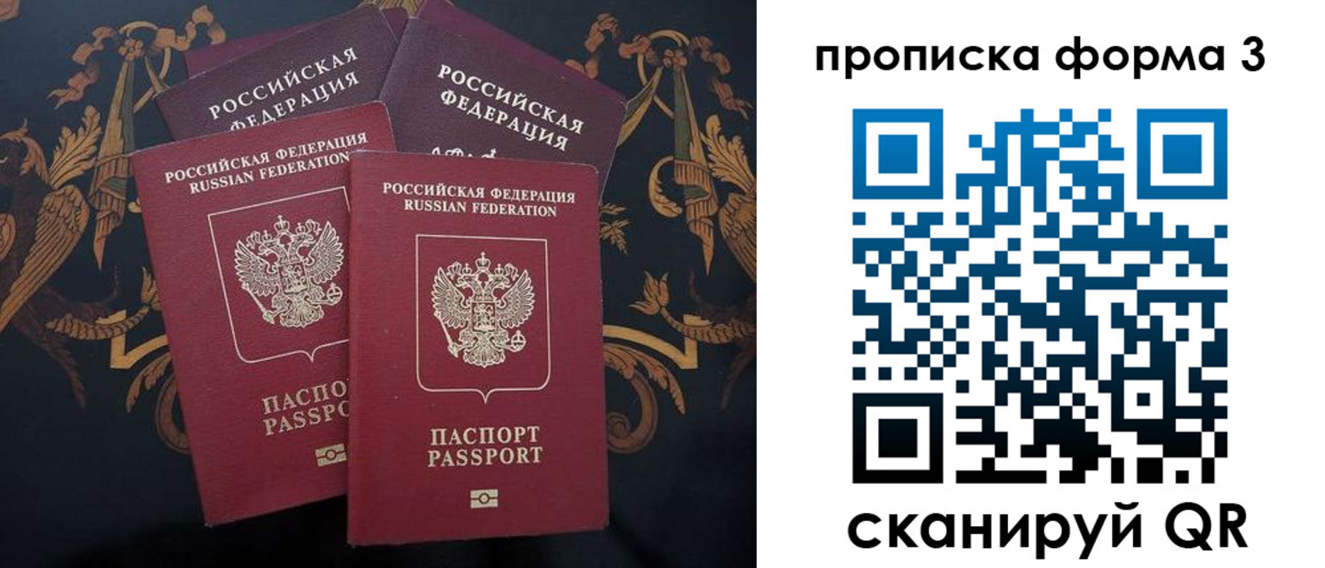 прописка законно в Геленджике